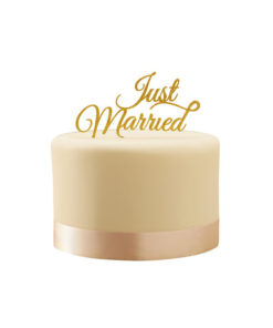 Cake Topper Just Married
