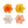 Waferblumen 8 Stk.pfirsich apricot gelb weiss