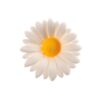 Zuckerdekor Gänseblümchen weiss
