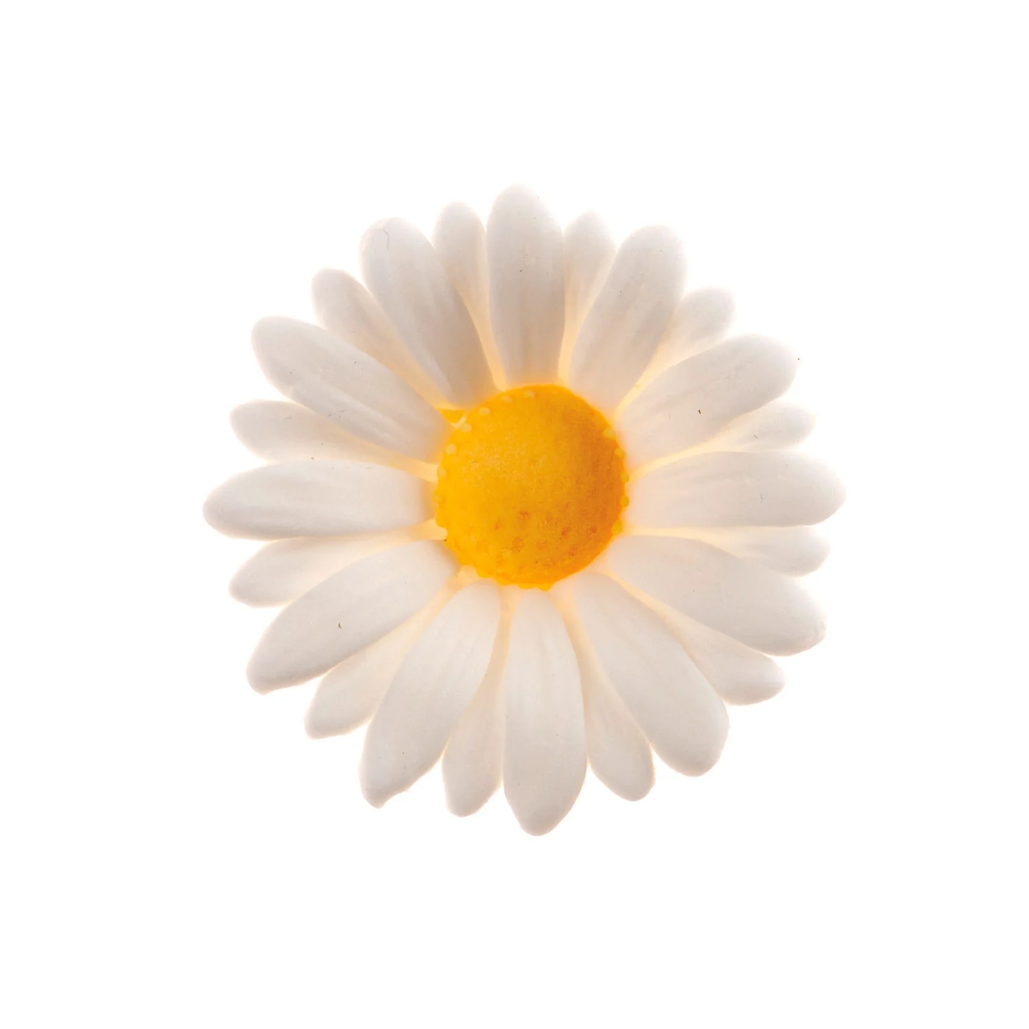 Zuckerdekor Gänseblümchen weiss