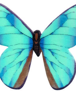 Schmetterlinge aus Esspapier blau