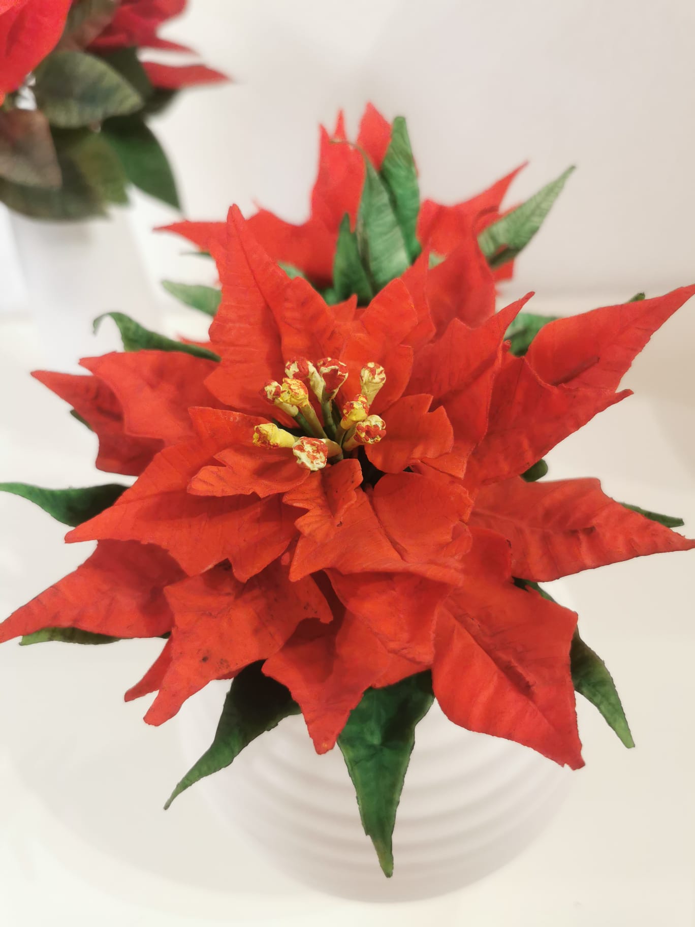 Weihnachtsstern aus Blütenpaste – Bild 4